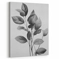 Vintage Botanical Art Prints: Monochrome Leaves
