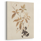 Vintage Botanical Art Prints – Branch with Berries Illustration