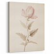 Vintage Botanical Art Prints – Soft Pink Flower Illustration