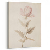 Vintage Botanical Art Prints – Soft Pink Flower Illustration