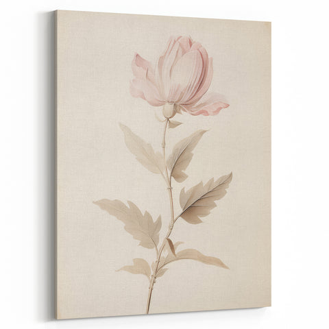 Vintage Botanical Art Prints – Soft Pink Flower Illustration