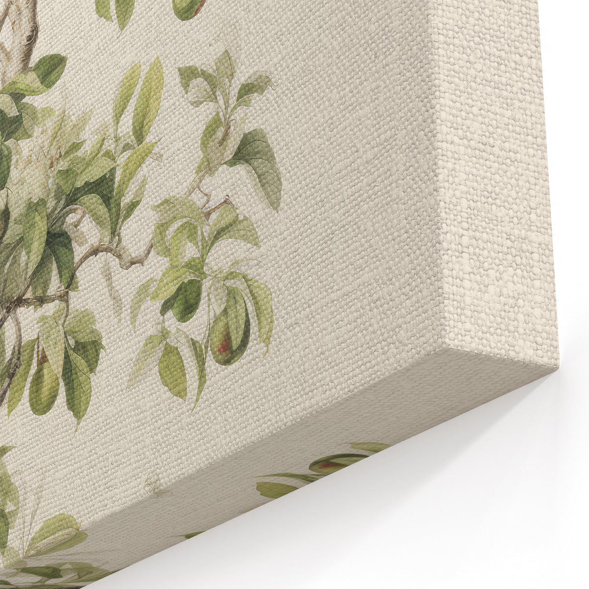 Vintage Botanical Art Prints: Pear Tree in Bloom
