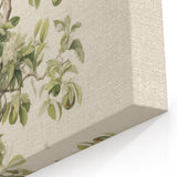 Vintage Botanical Art Prints: Pear Tree in Bloom
