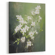 Vintage Botanical Art Prints: White Blossoms in Spring