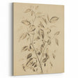 Vintage Botanical Art Prints: Soft Leaves in Beige