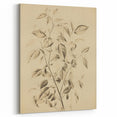 Vintage Botanical Art Prints: Soft Leaves in Beige