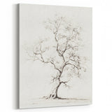Vintage Botanical Art Prints – Pencil Tree Illustration