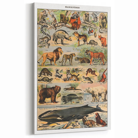 Vintage Animal Art: Timeless Wildlife Illustration Prints