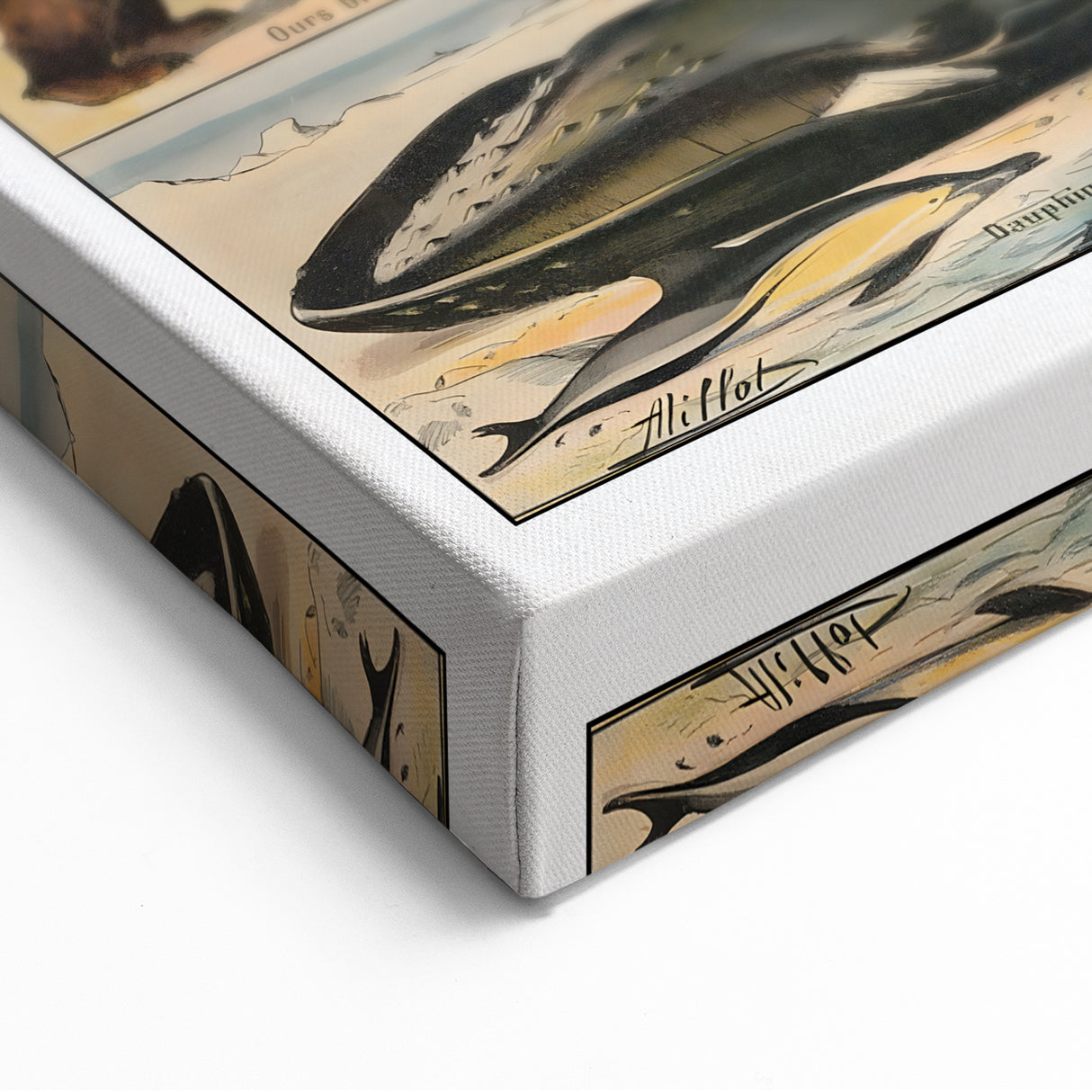 Vintage Animal Art: Timeless Wildlife Illustration Prints