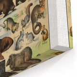 Vintage Animal Art: Detailed Wildlife Illustration Prints