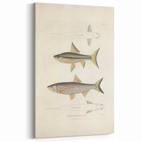 Vintage Animal Art - Handcrafted Fish Illustration for Home Decor