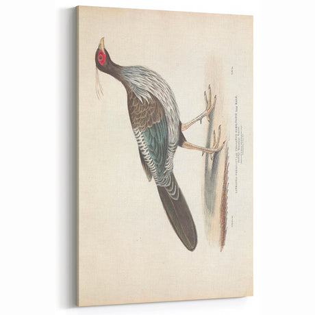 Vintage Animal Art - Handcrafted Bird Illustration for Home Decor