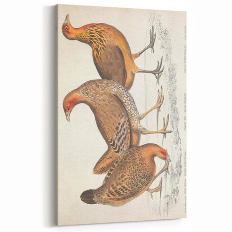 Vintage Animal Art - Handcrafted Bird Trio Illustration for Home Decor