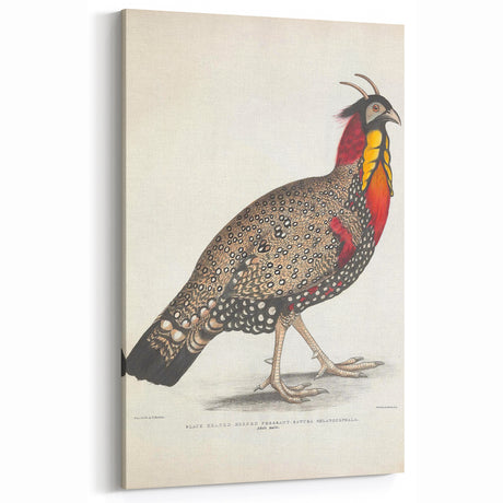 Vintage Animal Art - Handcrafted Pheasant Illustration for Home Decor