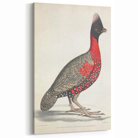 Vintage Animal Art - Handcrafted Pheasant Illustration for Home Decor
