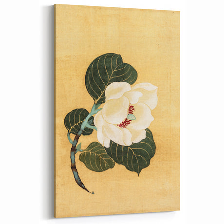 Vintage Botanical Art Prints - Antique Magnolia Flower Wall Decor