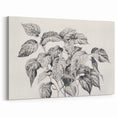 Vintage Botanical Art Prints - Black and White Plant Illustration