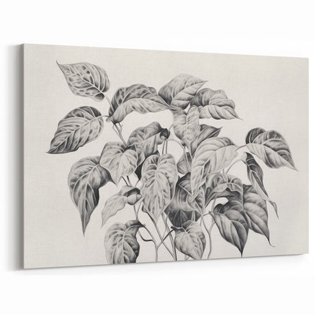 Vintage Botanical Art Prints - Black and White Plant Illustration