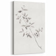 Vintage Botanical Art Prints - Black and White Branch Illustration