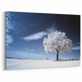 Fine Art Photography Acrylic Prints – Winter Serenity