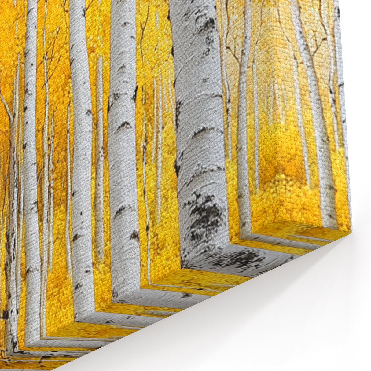 Golden Birch Forest – Autumn Landscape & Nature Art Prints