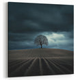 Dramatic Storm Tree – Moody Landscape & Nature Art Prints