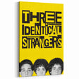 2010s Movie Poster Art - Three Identical Strangers Vintage Print