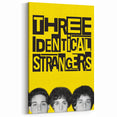 2010s Movie Poster Art - Three Identical Strangers Vintage Print
