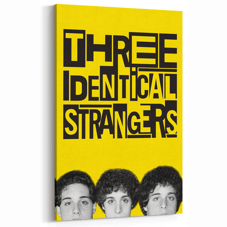 2010s Movie Poster Art - Three Identical Strangers Vintage Print