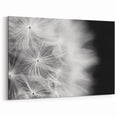 Dandelion Macro Art - Fine Art Photography Framed Prints