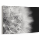 Dandelion Macro Art - Fine Art Photography Framed Prints