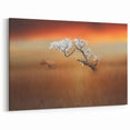 Blossoming Tree at Sunset - Fine Art Photography Canvas Prints