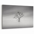 Solitary Tree in Water - Fine Art Photography Acrylic Prints