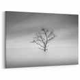 Solitary Tree in Water - Fine Art Photography Acrylic Prints