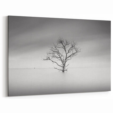 Solitary Tree in Water - Fine Art Photography Acrylic Prints