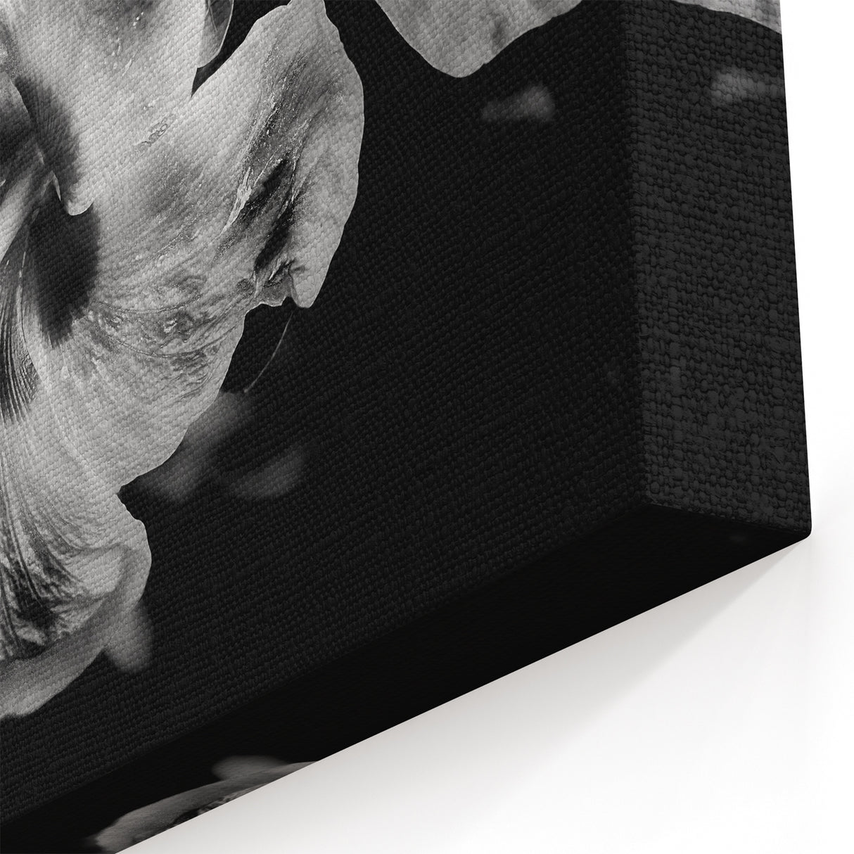 Hibiscus in Monochrome - Fine Art Photography Canvas Prints