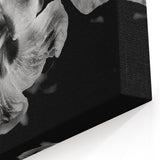 Hibiscus in Monochrome - Fine Art Photography Canvas Prints