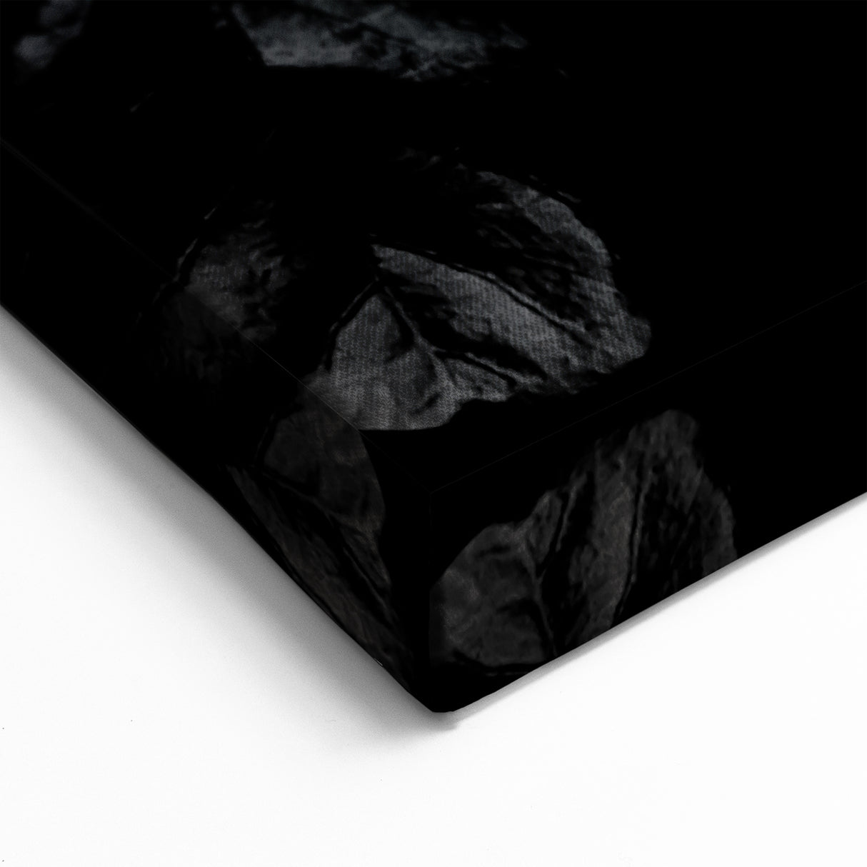 Hibiscus in Monochrome - Fine Art Photography Canvas Prints