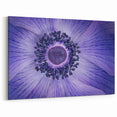 Violet Anemone Macro - Fine Art Photography Framed Prints