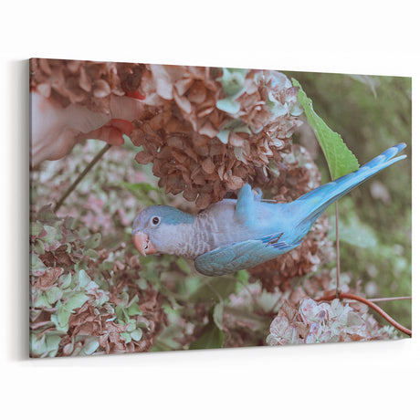 Blue Parrot in Hydrangeas - Fine Art Photography Canvas Prints