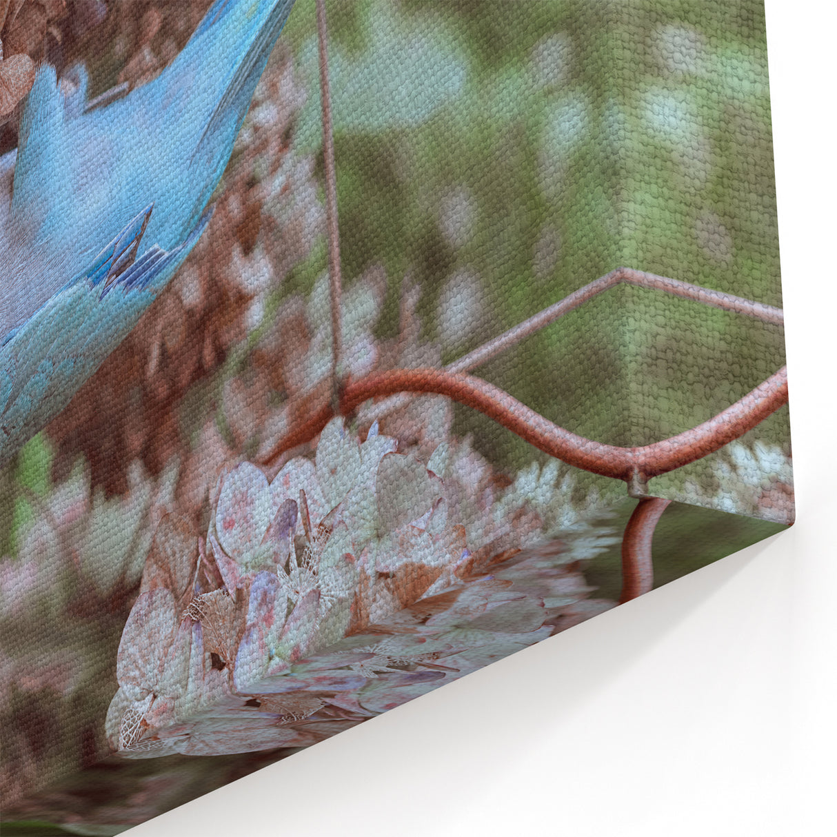 Blue Parrot in Hydrangeas - Fine Art Photography Canvas Prints
