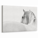 Elegant White Horse - Fine Art Photography Framed Prints