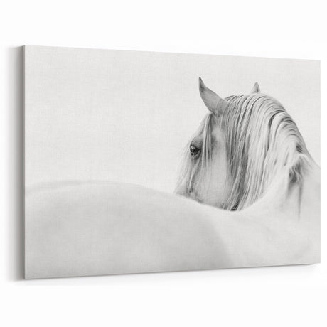 Elegant White Horse - Fine Art Photography Framed Prints