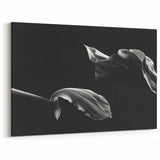 Elegant Floral Motion - Fine Art Photography Canvas Prints
