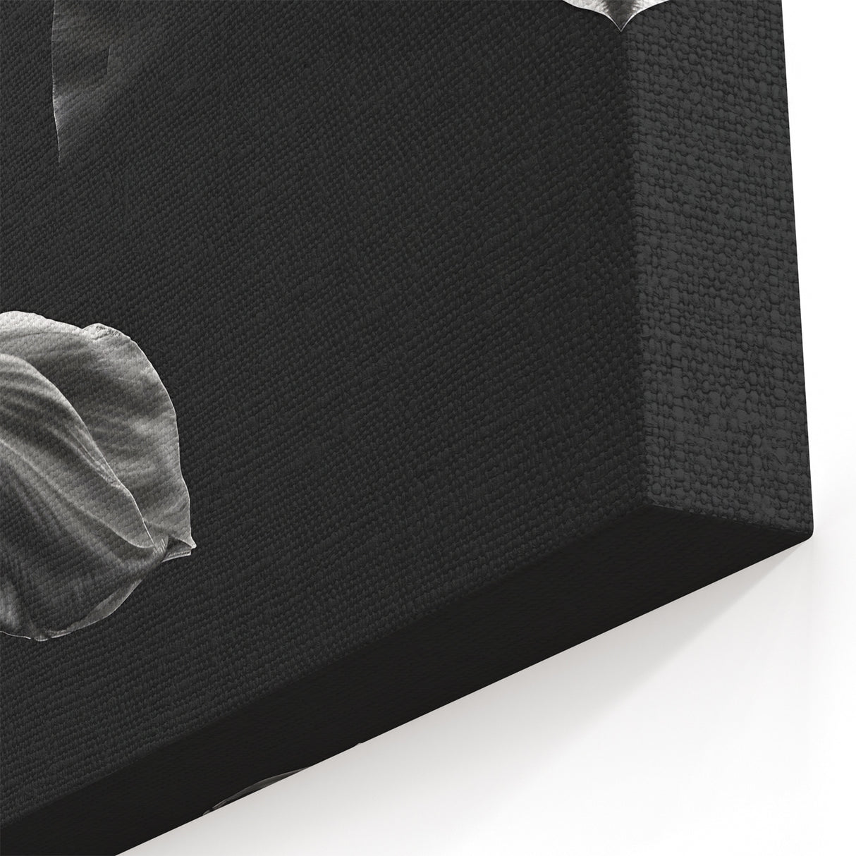 Elegant Floral Motion - Fine Art Photography Canvas Prints