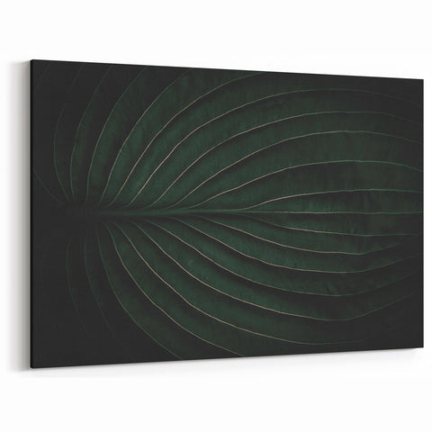 Botanical Elegance - Fine Art Green Leaf Photography Print