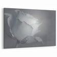 Modern Art Prints – Elegant Black & White Floral Wall Art