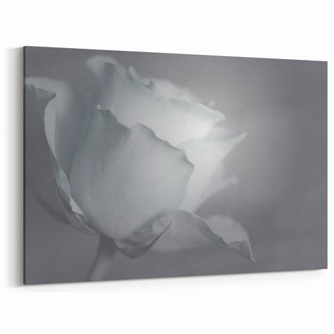 Modern Art Prints – Elegant Black & White Floral Wall Art