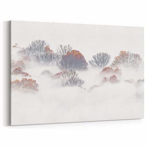 Misty Autumn – Fine Art Photography of Trees in Morning Fog