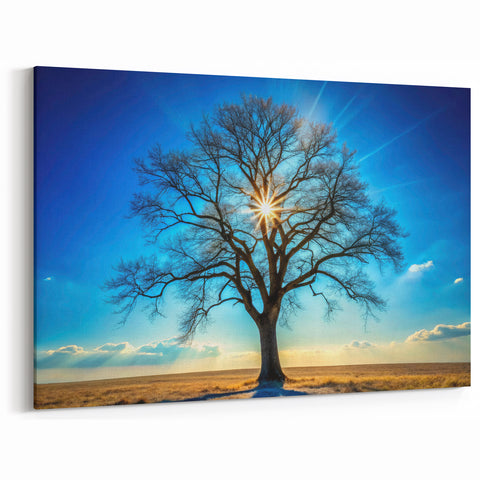 Majestic Tree & Sunburst – Fine Art Nature Photography Print